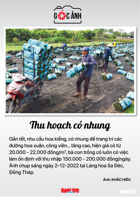 Tin tức sáng 3-12: TP.HCM thanh tra 15 đơn vị sử dụng đất; Ca COVID-19 cao nhất 3 tuần qua - Ảnh 8. Tin tức sáng 3-12: TP.HCM thanh tra 15 đơn vị sử dụng đất; Ca COVID-19 cao nhất 3 tuần qua - Ảnh 8.