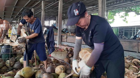 Độc đáo chợ dừa nổi Bến Tre - Kỳ 2: Nghề hay đổ máu ăn tiền - Ảnh 2. Độc đáo chợ dừa nổi Bến Tre - Kỳ 2: Nghề hay đổ máu ăn tiền - Ảnh 2.