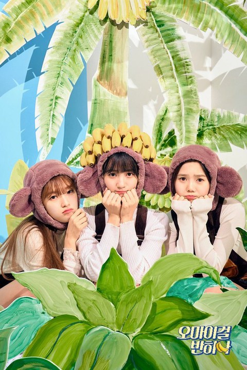 Loạt ca khúc K-pop có nội dung ‘ngớ ngẩn’ nhưng cực vui nhộn - Ảnh 8. Loạt ca khúc K-pop có nội dung ‘ngớ ngẩn’ nhưng cực vui nhộn - Ảnh 8.