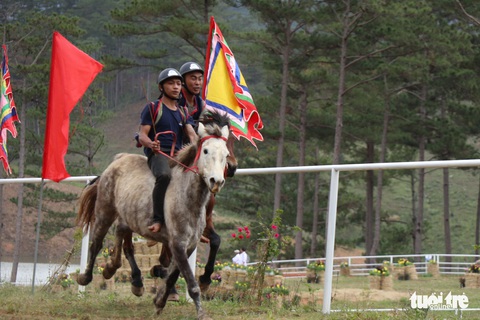 Festival hoa Đà Lạt 2022: Thử nghiệm cái mới để phát triển du lịch - Ảnh 3. Festival hoa Đà Lạt 2022: Thử nghiệm cái mới để phát triển du lịch - Ảnh 3.