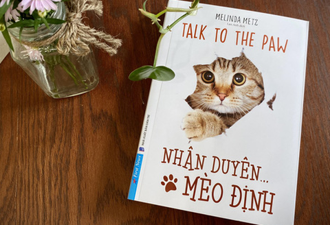 Nhân duyên Mèo định: Cuộc đời qua lăng kính thật nhởn nhơ, hồn nhiên của loài mèo - Ảnh 1. Nhân duyên Mèo định: Cuộc đời qua lăng kính thật nhởn nhơ, hồn nhiên của loài mèo - Ảnh 1.
