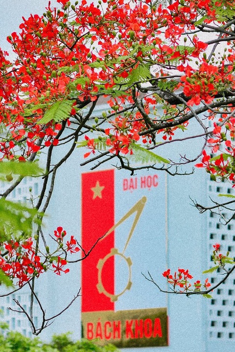 Mô hình Đại học Bách khoa Hà Nội phù hợp mô hình các đại học lớn trên thế giới - Ảnh 1. Mô hình Đại học Bách khoa Hà Nội phù hợp mô hình các đại học lớn trên thế giới - Ảnh 1.