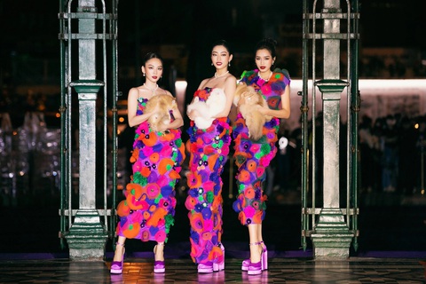 Đỗ Thị Hà gặp sự cố khi catwalk với bạn diễn 4 chân - Ảnh 1. Đỗ Thị Hà gặp sự cố khi catwalk với bạn diễn 4 chân - Ảnh 1.