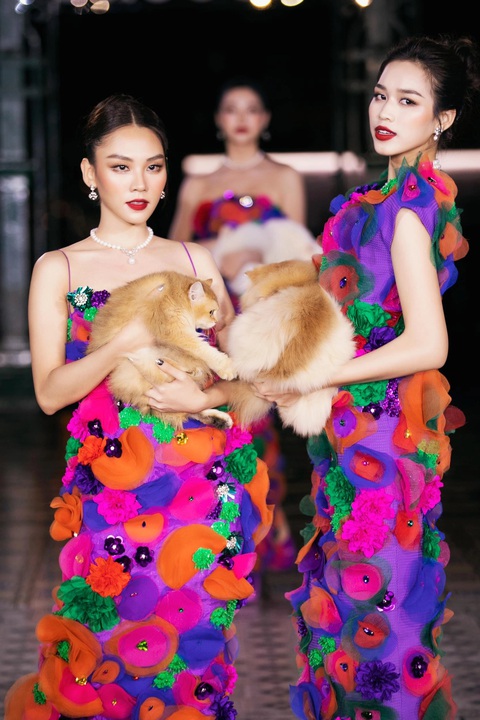 Đỗ Thị Hà gặp sự cố khi catwalk với bạn diễn 4 chân - Ảnh 2. Đỗ Thị Hà gặp sự cố khi catwalk với bạn diễn 4 chân - Ảnh 2.