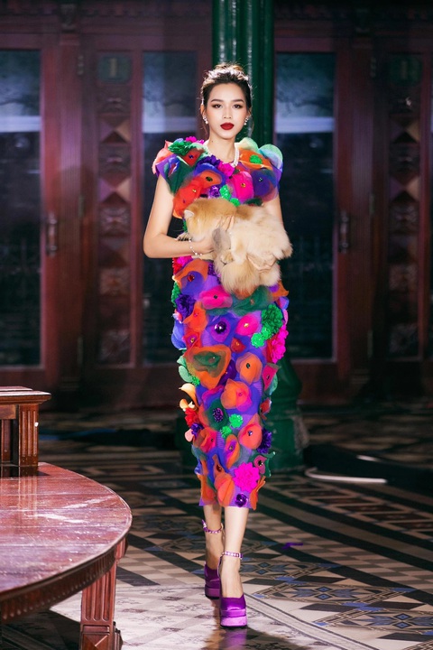 Đỗ Thị Hà gặp sự cố khi catwalk với bạn diễn 4 chân - Ảnh 4. Đỗ Thị Hà gặp sự cố khi catwalk với bạn diễn 4 chân - Ảnh 4.