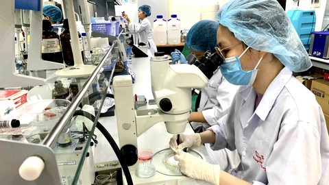 Trường đại học thành đại học: Không đơn giản chỉ là đổi tên - Ảnh 1. Trường đại học thành đại học: Không đơn giản chỉ là đổi tên - Ảnh 1.
