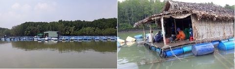 Làm giàu trên mảnh đất quê hương - Ảnh 2. Làm giàu trên mảnh đất quê hương - Ảnh 2.