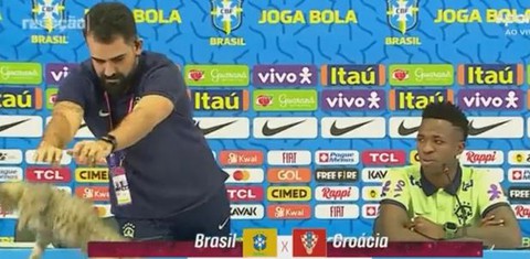 Chú mèo điệp viên phá đám tuyển Brazil ngay trong buổi họp báo - Ảnh 2. Chú mèo điệp viên phá đám tuyển Brazil ngay trong buổi họp báo - Ảnh 2.