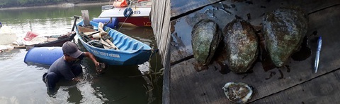 Làm giàu trên mảnh đất quê hương - Ảnh 3. Làm giàu trên mảnh đất quê hương - Ảnh 3.