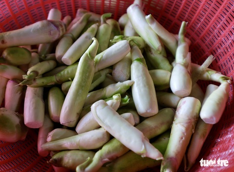 Cuối thu, đầu đông nhớ củ niễng Nam Định - Ảnh 6. Cuối thu, đầu đông nhớ củ niễng Nam Định - Ảnh 6.