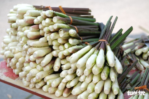 Cuối thu, đầu đông nhớ củ niễng Nam Định - Ảnh 1. Cuối thu, đầu đông nhớ củ niễng Nam Định - Ảnh 1.