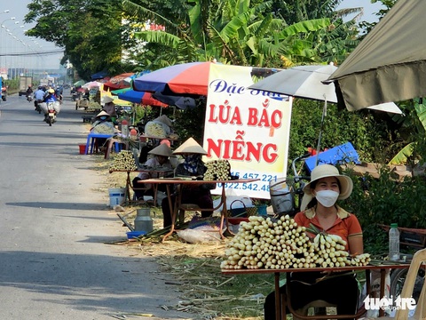 Cuối thu, đầu đông nhớ củ niễng Nam Định - Ảnh 2. Cuối thu, đầu đông nhớ củ niễng Nam Định - Ảnh 2.