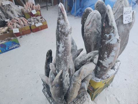 Trải nghiệm thành phố lạnh giá nhất nước Nga - Ảnh 2. Trải nghiệm thành phố lạnh giá nhất nước Nga - Ảnh 2.