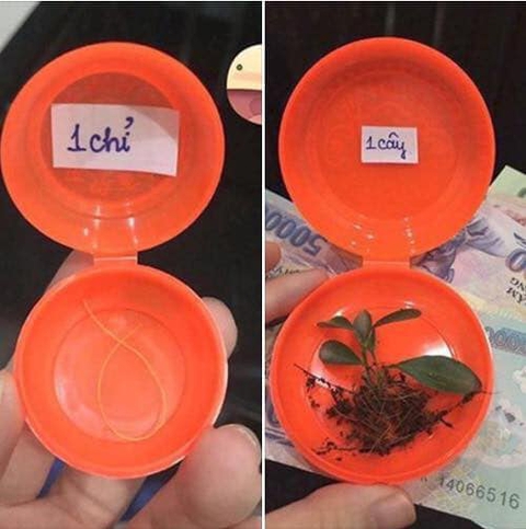 Nhà nhà, người người khoe vàng khắp cõi mạng xã hội ngày vía Thần Tài - Ảnh 1. Nhà nhà, người người khoe vàng khắp cõi mạng xã hội ngày vía Thần Tài - Ảnh 1.