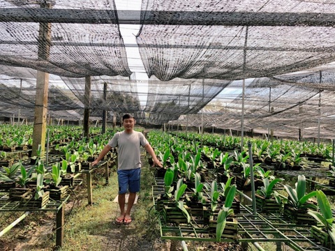 Chủ vườn Hoa Lan Đồng Nai nghìn m2 bày cách chăm Ngọc Điểm nở đúng vụ - Ảnh 1. Chủ vườn Hoa Lan Đồng Nai nghìn m2 bày cách chăm Ngọc Điểm nở đúng vụ - Ảnh 1.