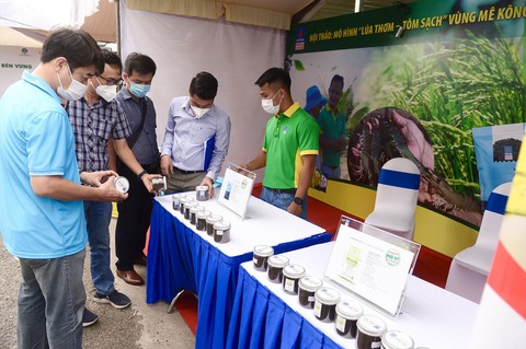 Bàn cách nâng tầm mô hình lúa thơm - tôm sạch - Ảnh 7. Bàn cách nâng tầm mô hình lúa thơm - tôm sạch - Ảnh 7.