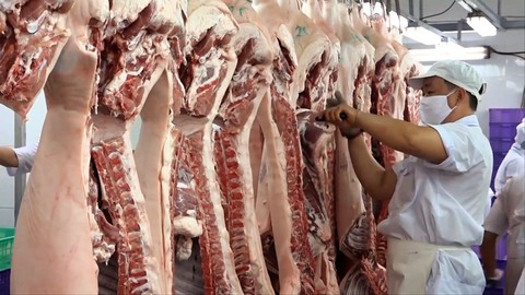 Mới ra Tết giá thức ăn chăn nuôi đã tăng khiến nông dân lo thua lỗ - Ảnh 1. Mới ra Tết giá thức ăn chăn nuôi đã tăng khiến nông dân lo thua lỗ - Ảnh 1.