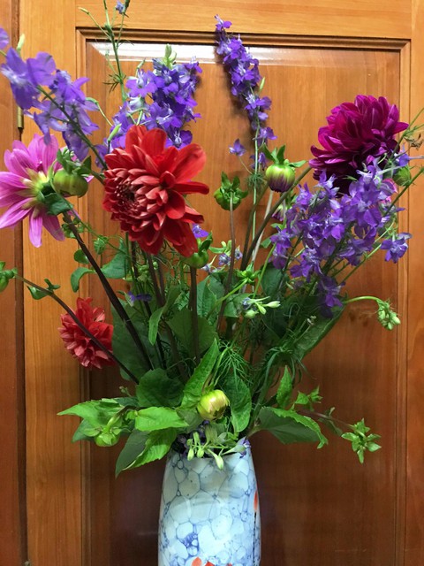 Hoa thược dược tím cùng violet - Màu hoa ký ức của tôi - Ảnh 1. Hoa thược dược tím cùng violet - Màu hoa ký ức của tôi - Ảnh 1.