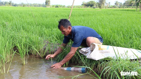 Ông mù mần ruộng, bắt lươn - Ảnh 1. Ông mù mần ruộng, bắt lươn - Ảnh 1.