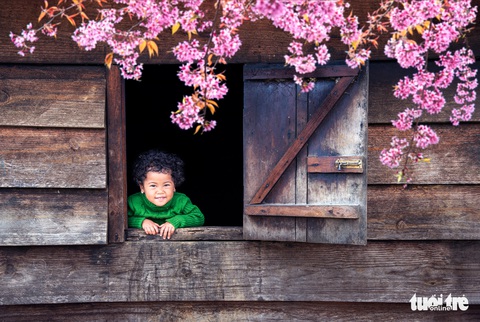 Thi ảnh Nụ xuân: Cả mùa xuân trong nụ cười trẻ thơ - Ảnh 1. Thi ảnh Nụ xuân: Cả mùa xuân trong nụ cười trẻ thơ - Ảnh 1.