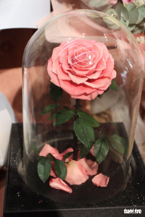 Hoa độc lạ dịp Valentine: Từ vài triệu đến hàng chục triệu đồng - Ảnh 6. Hoa độc lạ dịp Valentine: Từ vài triệu đến hàng chục triệu đồng - Ảnh 6.