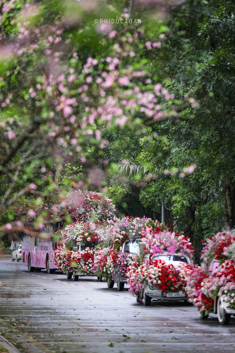 Valentine 2022: Màn tỏ tình bằng 99.999 bông hồng ấn tượng tại Hà Nội - Ảnh 2. Valentine 2022: Màn tỏ tình bằng 99.999 bông hồng ấn tượng tại Hà Nội - Ảnh 2.