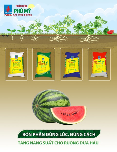Phân bón Phú Mỹ: Sản lượng sản xuất cao, hàng hóa dồi dào - Ảnh 2. Phân bón Phú Mỹ: Sản lượng sản xuất cao, hàng hóa dồi dào - Ảnh 2.