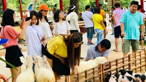 Nhộn nhịp chuẩn bị mở cửa bầu trời - Ảnh 6. Nhộn nhịp chuẩn bị mở cửa bầu trời - Ảnh 6.