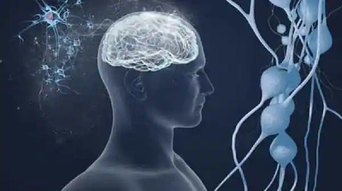 Hiệp hội Alzheimer Mỹ: COVID-19 có thể gây tổn thương não như Alzheimer - Ảnh 1. Hiệp hội Alzheimer Mỹ: COVID-19 có thể gây tổn thương não như Alzheimer - Ảnh 1.