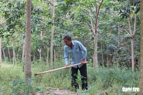 Báo Tuổi Trẻ cùng GREENFEED sẽ hỗ trợ vốn làm ăn cho nông dân nghèo Tây Ninh - Ảnh 1. Báo Tuổi Trẻ cùng GREENFEED sẽ hỗ trợ vốn làm ăn cho nông dân nghèo Tây Ninh - Ảnh 1.