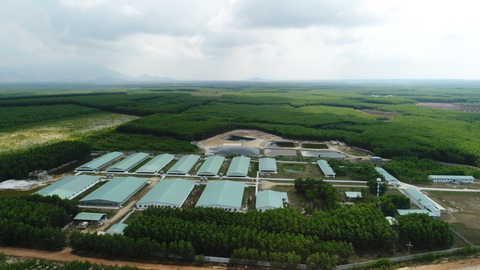 Nova Consumer đẩy mạnh mảng trang trại, kêu gọi hợp tác đầu tư - Ảnh 1. Nova Consumer đẩy mạnh mảng trang trại, kêu gọi hợp tác đầu tư - Ảnh 1.