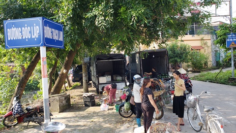 Chuyện chưa kể những tên đường nước Việt - Kỳ 9: Đi dưới bóng hoàng lan - Ảnh 1. Chuyện chưa kể những tên đường nước Việt - Kỳ 9: Đi dưới bóng hoàng lan - Ảnh 1.