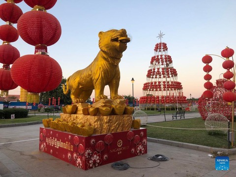 Ngắm hổ độc lạ trên khắp thế giới Tết Nhâm Dần - Ảnh 6. Ngắm hổ độc lạ trên khắp thế giới Tết Nhâm Dần - Ảnh 6.