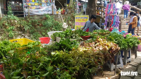 Đợi gần 2 tiếng đồng hồ để đi cáp treo lên đỉnh nóc nhà miền Tây - Ảnh 8. Đợi gần 2 tiếng đồng hồ để đi cáp treo lên đỉnh nóc nhà miền Tây - Ảnh 8.