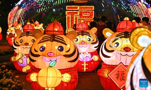 Ngắm hổ độc lạ trên khắp thế giới Tết Nhâm Dần - Ảnh 8. Ngắm hổ độc lạ trên khắp thế giới Tết Nhâm Dần - Ảnh 8.