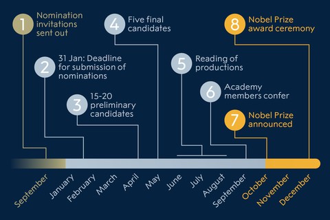 Vụ Việt Nam hụt cơ hội đề cử giải Nobel văn chương: Quy trình đề cử ra sao? - Ảnh 2. Vụ Việt Nam hụt cơ hội đề cử giải Nobel văn chương: Quy trình đề cử ra sao? - Ảnh 2.