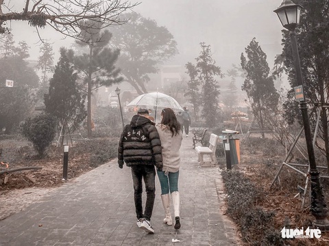 Du khách kéo tới Tam Đảo săn mây sống ảo, đa số sáng đi, chiều về - Ảnh 3. Du khách kéo tới Tam Đảo săn mây sống ảo, đa số sáng đi, chiều về - Ảnh 3.