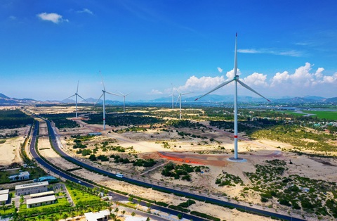 Trải nghiệm hiếm có trên bán đảo Hải Giang - Quy Nhơn - Ảnh 9. Trải nghiệm hiếm có trên bán đảo Hải Giang - Quy Nhơn - Ảnh 9.