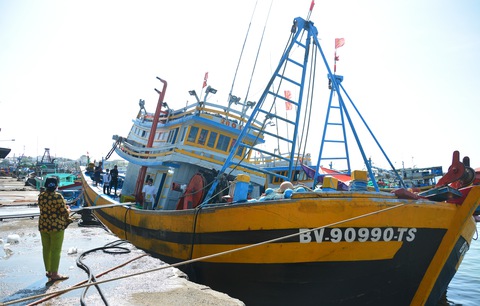 Tăng tàu cá nằm bờ vì giá xăng dầu - Ảnh 1. Tăng tàu cá nằm bờ vì giá xăng dầu - Ảnh 1.