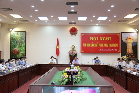Cần có nhiều chiến lược hơn cho cây thanh long - Ảnh 1. Cần có nhiều chiến lược hơn cho cây thanh long - Ảnh 1.
