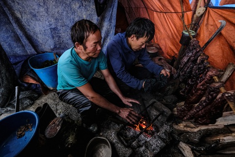 Lùa trâu xuống vùng thấp, cho uống thảo quả tránh rét - Ảnh 5. Lùa trâu xuống vùng thấp, cho uống thảo quả tránh rét - Ảnh 5.