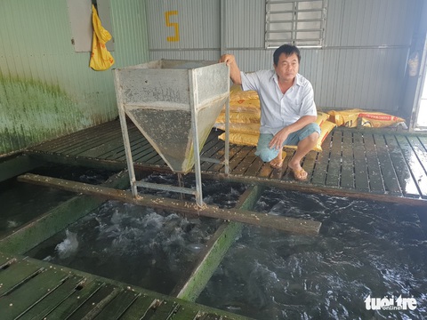 Cho cá chép ăn đồ ngoại, giá bán tăng gấp đôi - Ảnh 2. Cho cá chép ăn đồ ngoại, giá bán tăng gấp đôi - Ảnh 2.