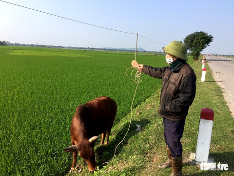 Đất đấu giá ở nông thôn ‘cao ngất ngưởng’ khiến người dân sửng sốt - Ảnh 2. Đất đấu giá ở nông thôn ‘cao ngất ngưởng’ khiến người dân sửng sốt - Ảnh 2.