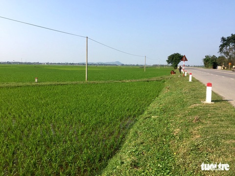 Đất đấu giá ở nông thôn ‘cao ngất ngưởng’ khiến người dân sửng sốt - Ảnh 1. Đất đấu giá ở nông thôn ‘cao ngất ngưởng’ khiến người dân sửng sốt - Ảnh 1.