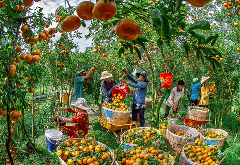 Ngắm loạt ảnh ca ngợi mùa xuân mới của quê hương - Ảnh 5. Ngắm loạt ảnh ca ngợi mùa xuân mới của quê hương - Ảnh 5.