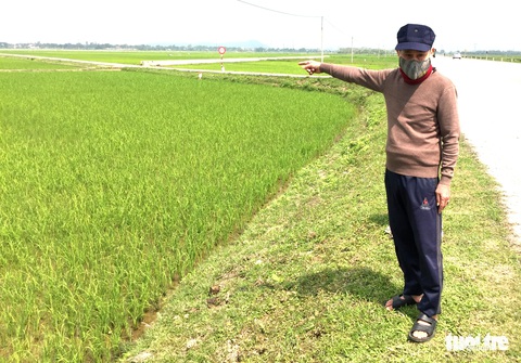 Vụ đất nông nghiệp giá cao ngất ngưởng: Chưa xong hạ tầng đã đấu giá - Ảnh 1. Vụ đất nông nghiệp giá cao ngất ngưởng: Chưa xong hạ tầng đã đấu giá - Ảnh 1.
