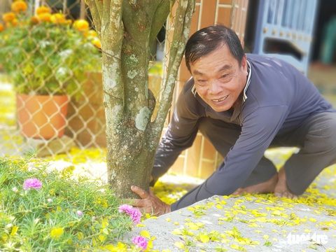 Cổng mai vàng cao hơn 4 mét của lão nông 70 tuổi - Ảnh 4. Cổng mai vàng cao hơn 4 mét của lão nông 70 tuổi - Ảnh 4.