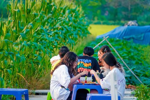 Quán chay giữa ruộng ở Cần Thơ thu hút giới trẻ dịp Tết - Ảnh 2. Quán chay giữa ruộng ở Cần Thơ thu hút giới trẻ dịp Tết - Ảnh 2.