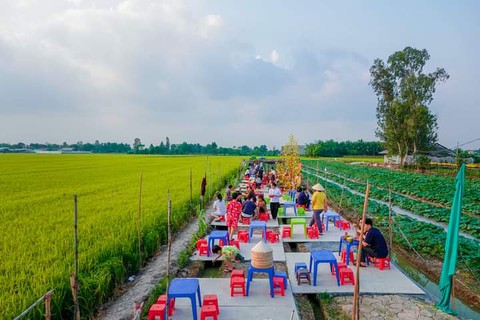 Quán chay giữa ruộng ở Cần Thơ thu hút giới trẻ dịp Tết - Ảnh 1. Quán chay giữa ruộng ở Cần Thơ thu hút giới trẻ dịp Tết - Ảnh 1.