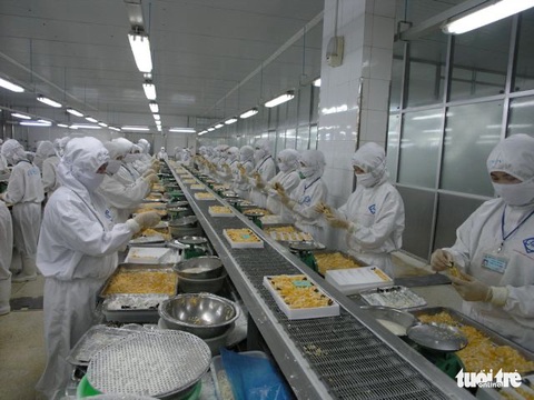 Nhiều nhà máy tôm Sóc Trăng trả lương cao, tuyển hàng ngàn lao động - Ảnh 1. Nhiều nhà máy tôm Sóc Trăng trả lương cao, tuyển hàng ngàn lao động - Ảnh 1.
